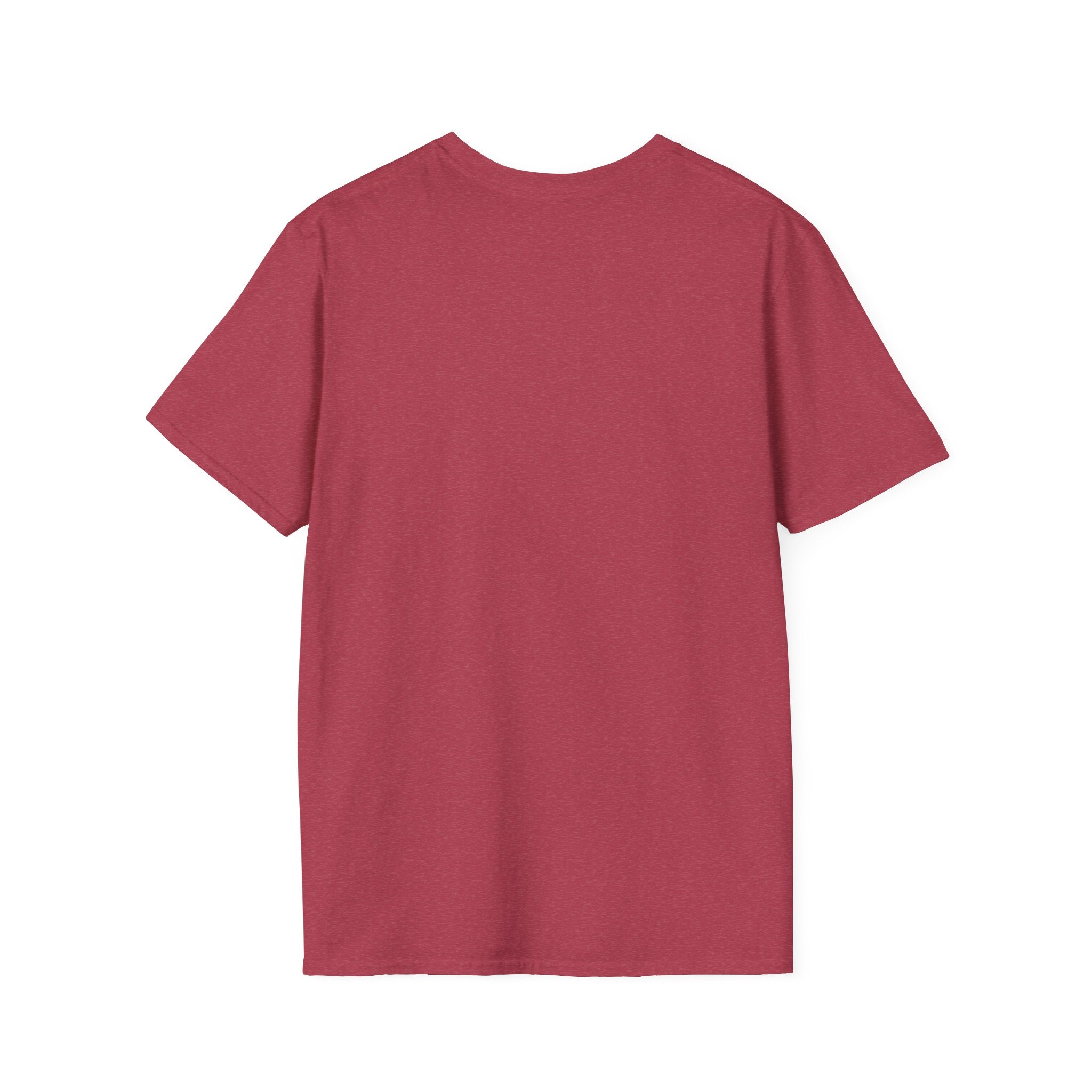 Feral Christmas T-Shirt — Raccoon in Santa Hat Holiday Tee