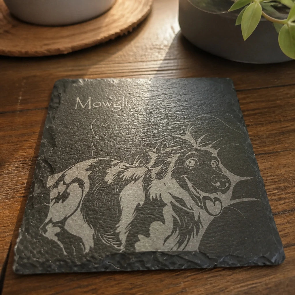 Slate coasters